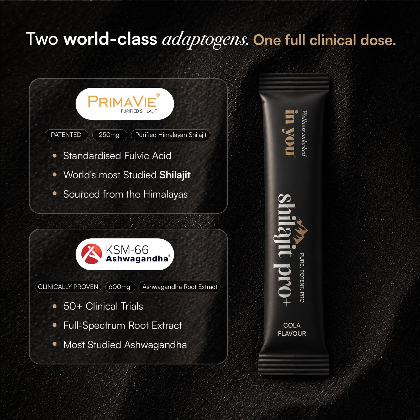 Shilajit Pro+