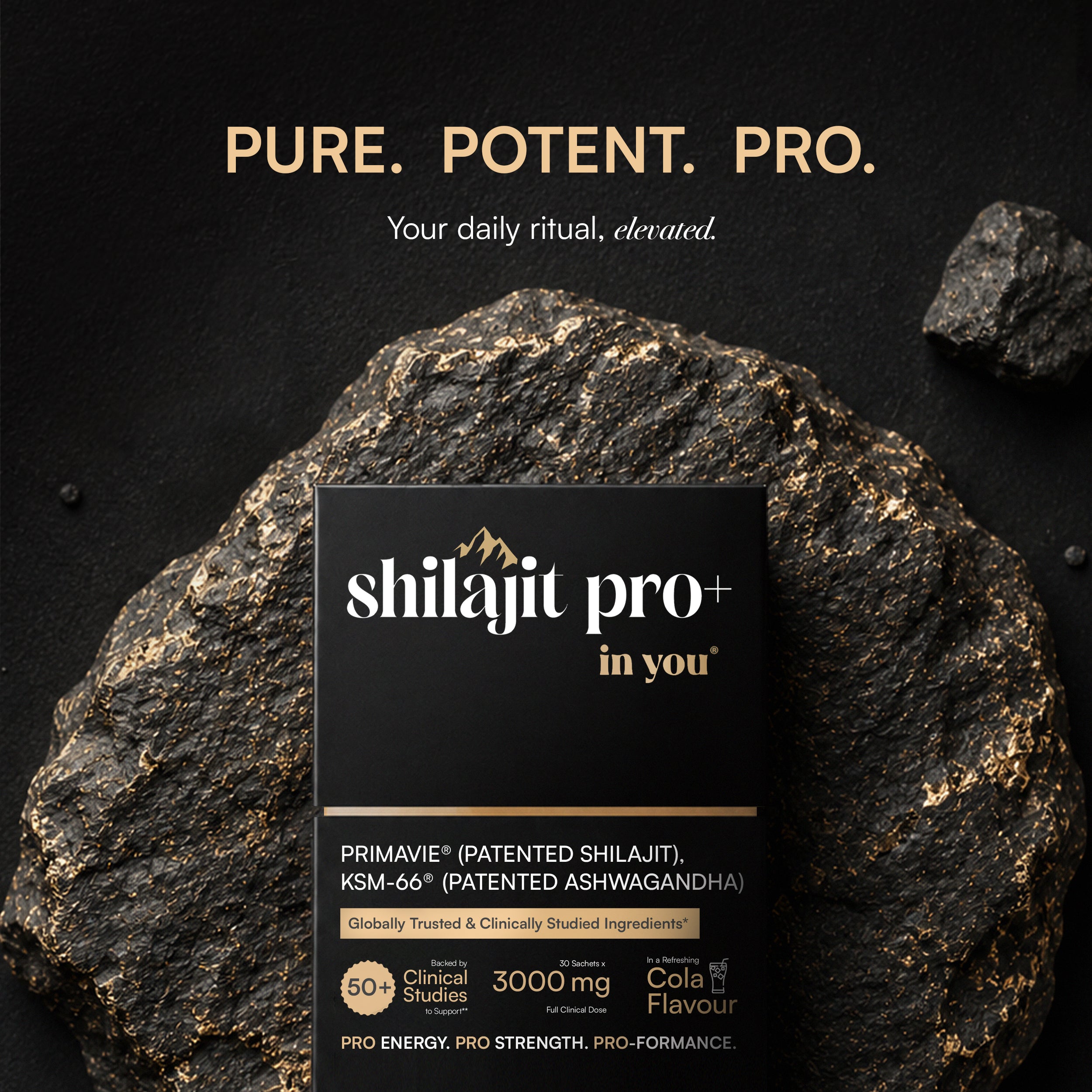 Shilajit Pro+