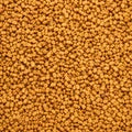 Fenugreek Extract