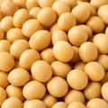 SoyLife® (Soy Isoflavones)