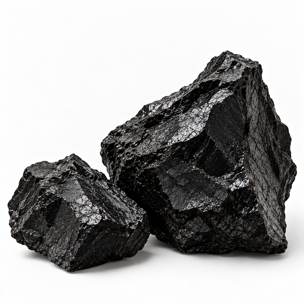 PrimaVie® Purified Shilajit