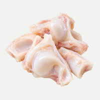 Type II Collagen