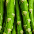 FOS Prebiotic Fibre